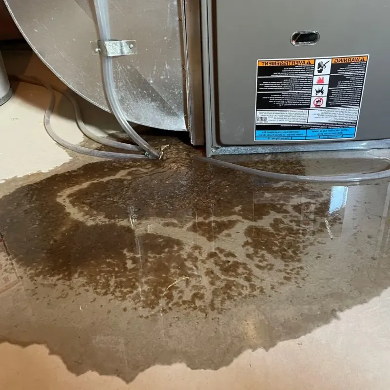 Pipe Burst and Leak Restoration in Ionia County, MI