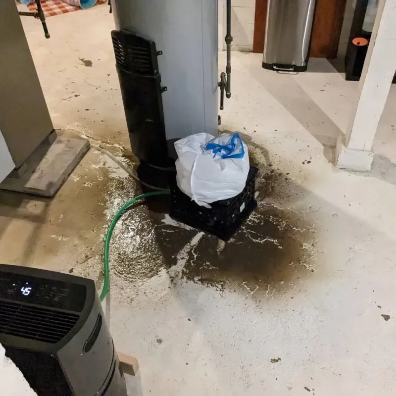 Sewage Backup Cleanup Service in Ionia County, MI